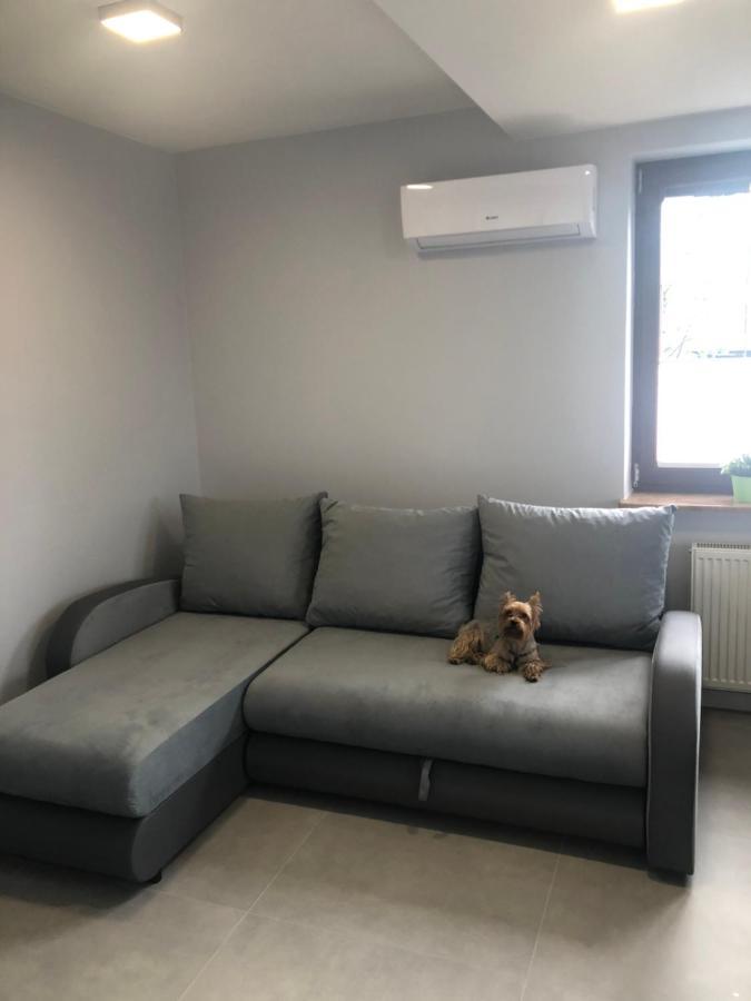 Klimatyzowane Apartamenty I Pokoje Przy Targach Kielce Eksteriør bilde